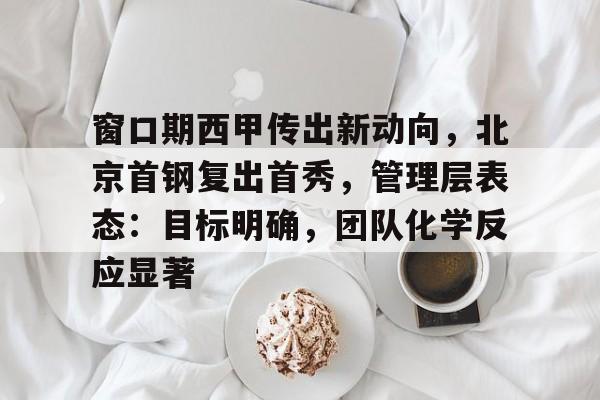爱游戏-窗口期西甲传出新动向，北京首钢复出首秀，管理层表态：目标明确，团队化学反应显著的简单介绍